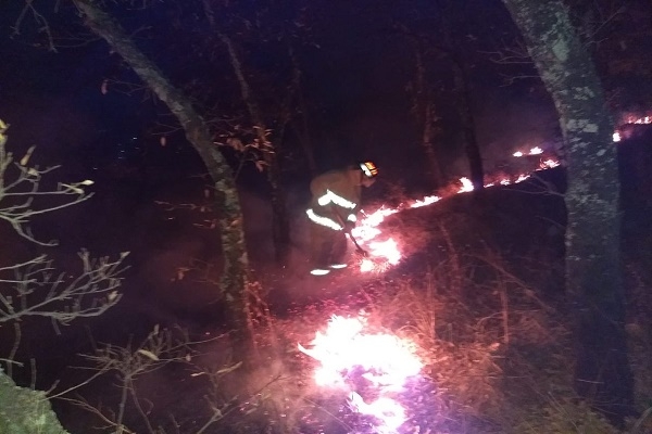 Se registró incendio en el cerro de Clavijero