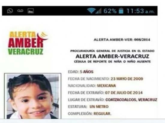 Veracruz: Desaparece niña de 5 años… activan Alerta Ámber 47 días después