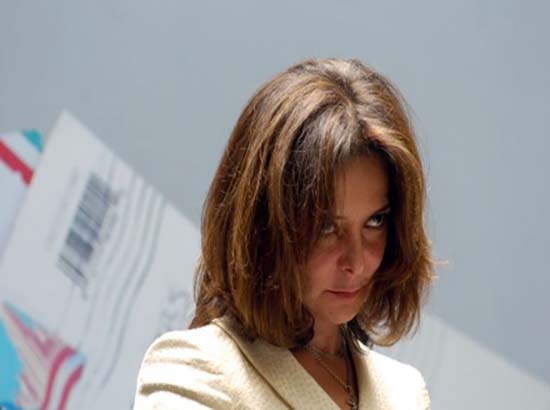 Carpinteyro, fuera de debate sobre Ley de Telecom