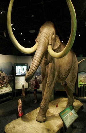 Rusia simularía Jurassic Park para recuperar especies perdidas