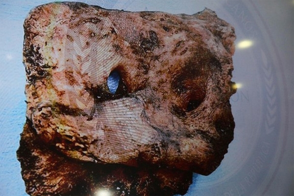 Forenses austriacos tardarán dos meses en identificar restos de Guerrero