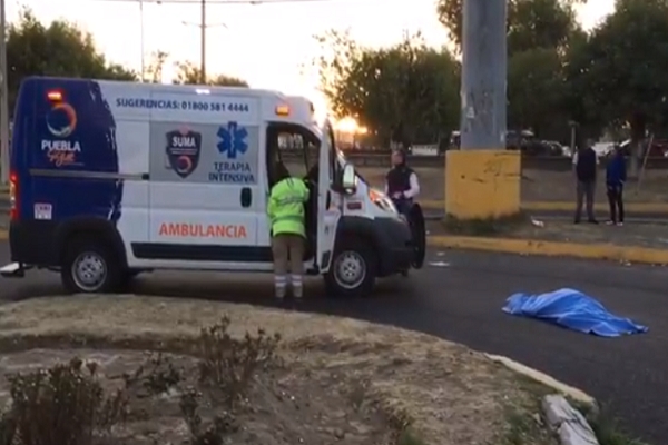 Mujer pereció arrollada en la Avenida 20 de Noviembre