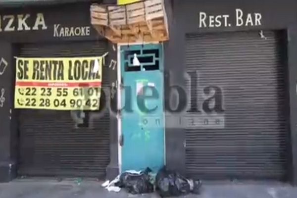 VIDEO: Negocio simula cuerpos embolsados como adornos de Halloween en Puebla
