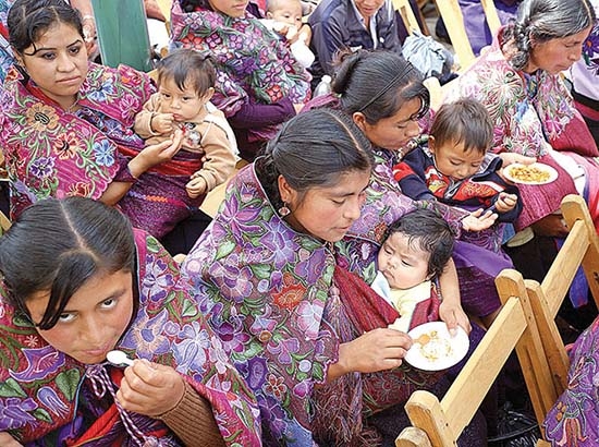 Acusan fraude en las Tarjetas Sin Hambre; riesgo de reventa de alimentos: Coneval