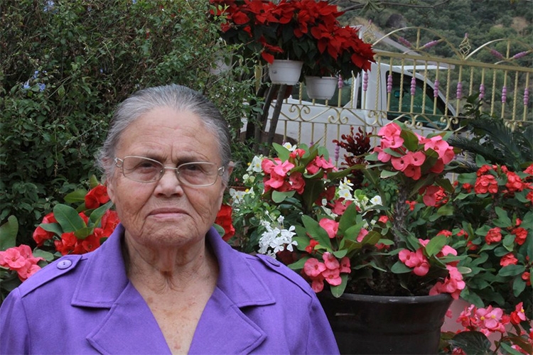 Comando armado saquea casa de la mamá del “Chapo”