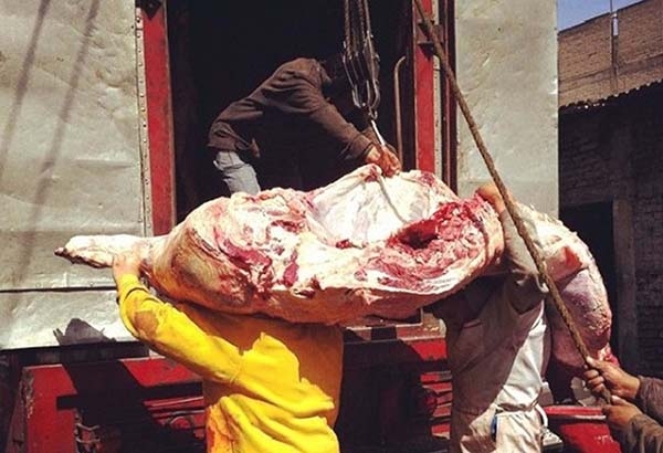 Mexicanos consumimos carne con clembuterol y de mala calidad: investigadora de la BUAP
