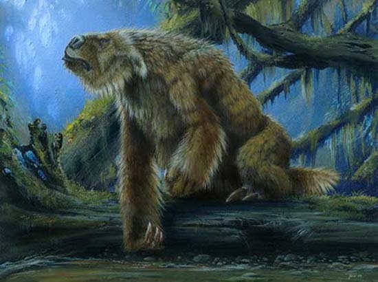 Hallan fósiles de animales gigantes en Bolivia