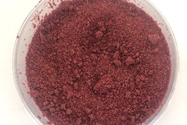 Investigadores de la BUAP usan cáscara de tuna roja para fortificar yogurt