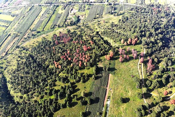 Gobierno de San Pedro Cholula inicia trabajos de rescate del Cerro Zapotecas