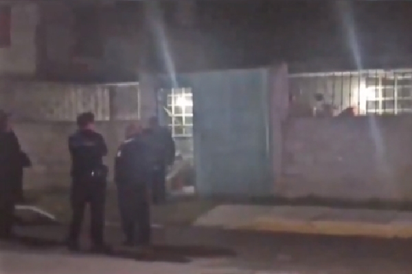 Muere elemento de la SSPTM al caer de un árbol en San Antonio Abad