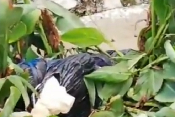 Hallan cadáver embolsado en La Libertad