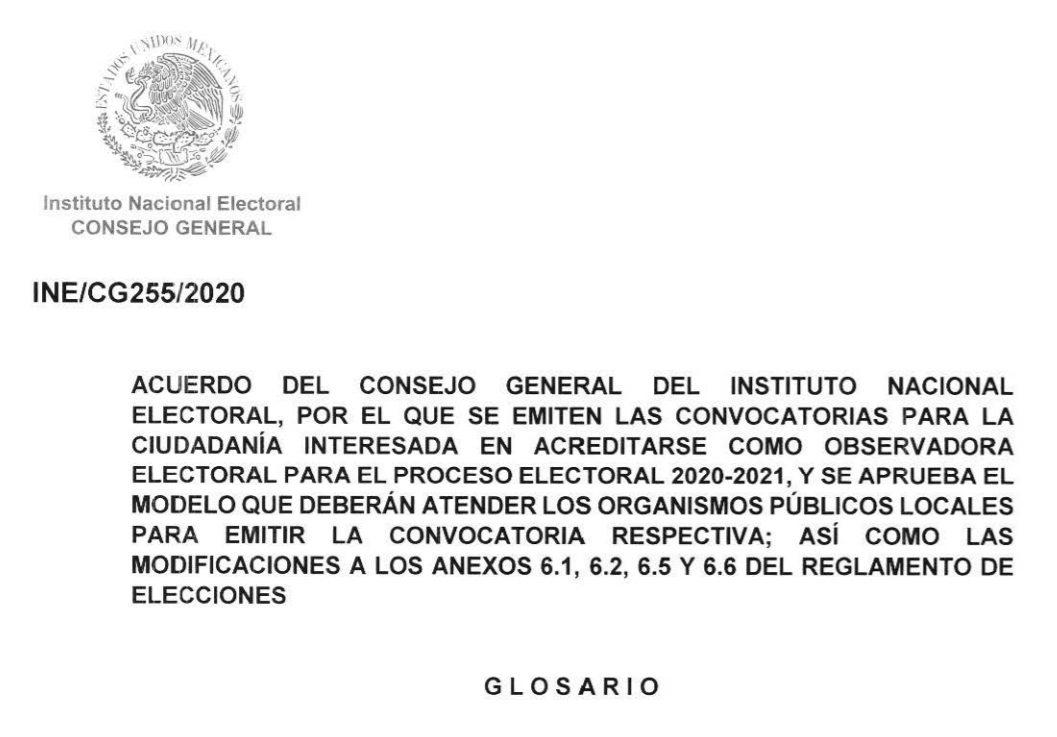 INE aprueba convocatoria para observadores electorales de la jornada 2021