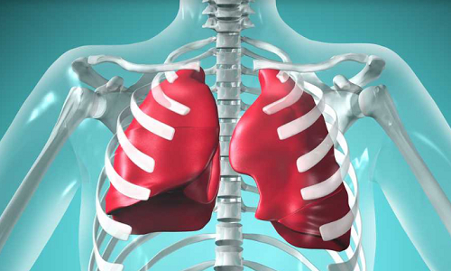 ¿Cómo el estrés afecta la salud de tus pulmones?