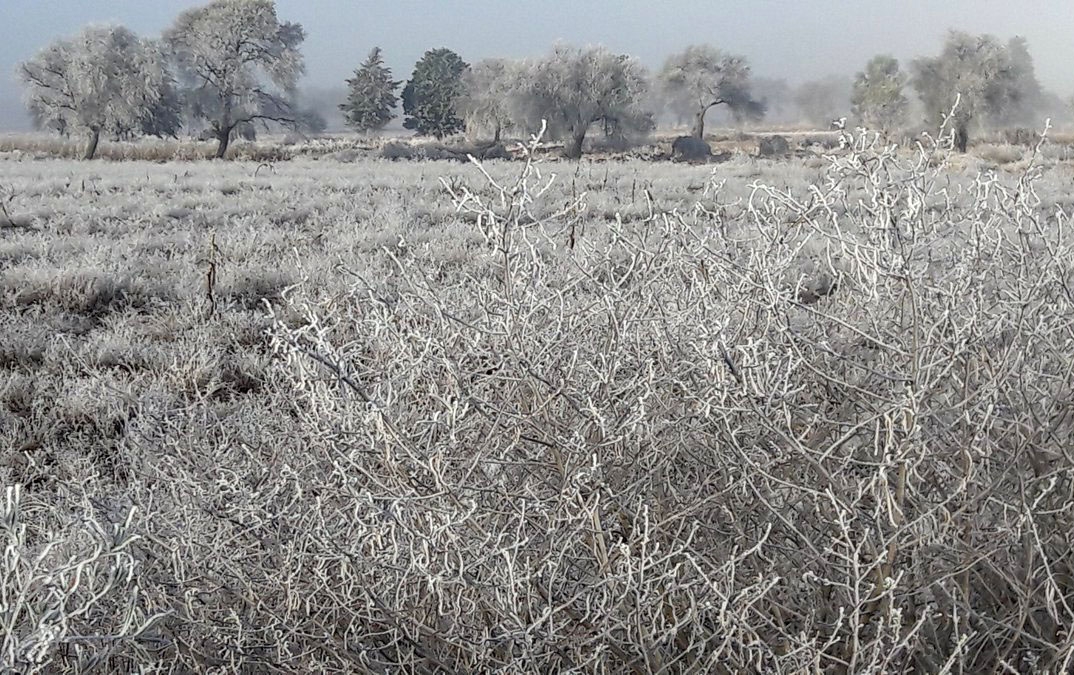 Intenso frío cubre de hielo a varias regiones de Puebla