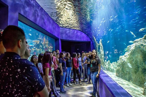 Puebla tendrá gran Acuario a partir del 30 de diciembre