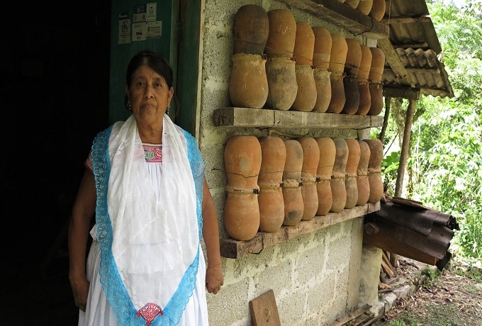 El País destaca producción de miel en la Sierra Norte de Puebla