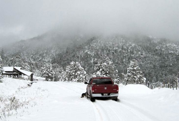 Durango y Chihuahua reportan frío de hasta de -15º C