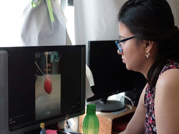 Investigadores de la BUAP estudian alteraciones del corazón