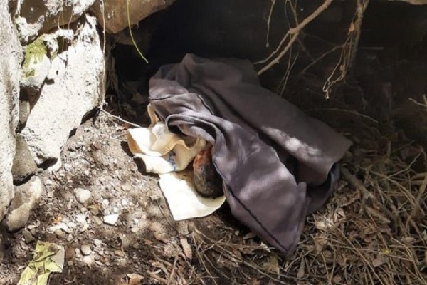 Hallan a recién nacida abandonada entre Texmelucan y El Verde