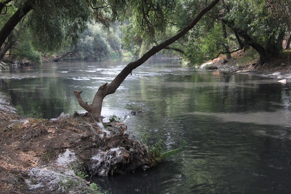 Relleno sanitario y hasta lecheras contaminan el río Atoyac: Conagua