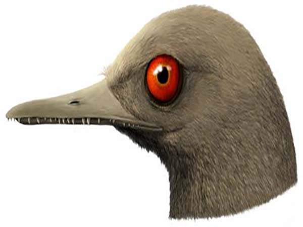 El dinosaurio carnívoro más pequeño de la historia