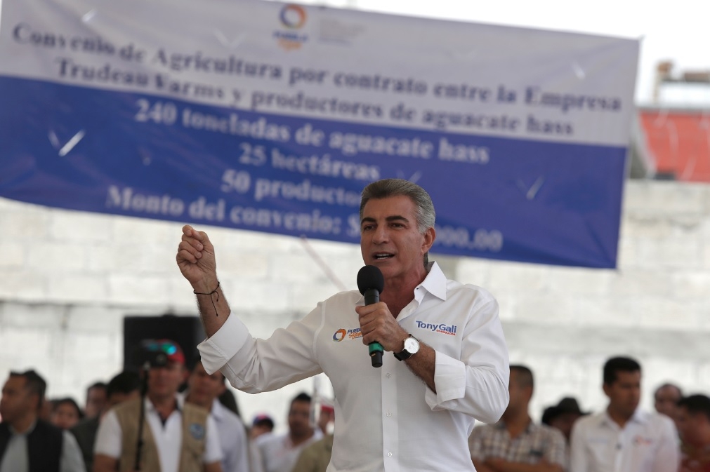 Gali buscará reunión con AMLO al margen del litigio electoral