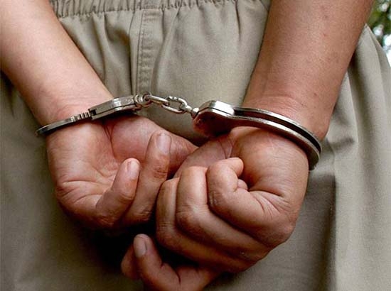 Cae hijo de ex mando de la SEIDO, relacionado con los Beltrán Leyva