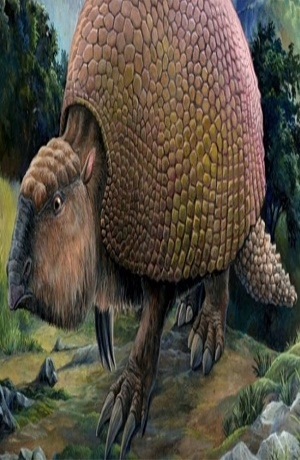 Campesino halló un caparazón de gliptodonte, especie prehistórica, en Uruguay