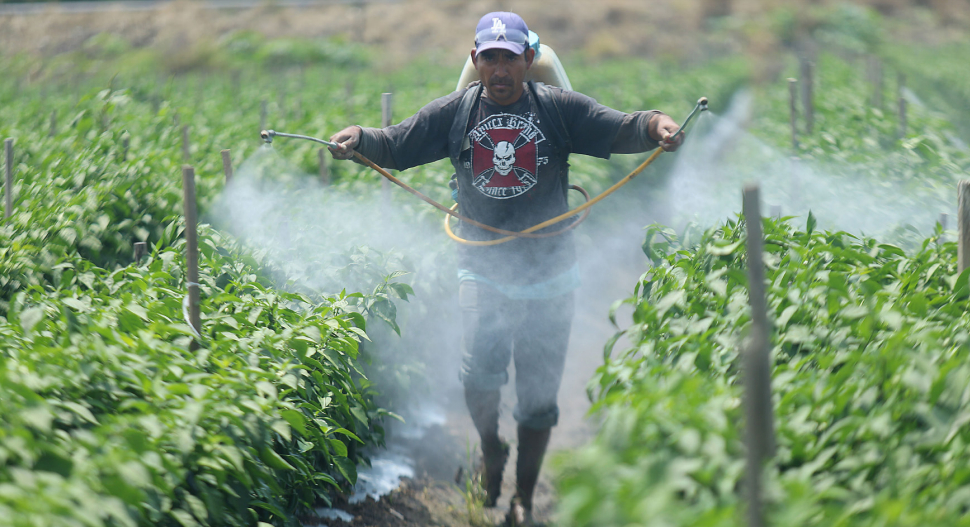 Robo de plaguicidas, el nuevo huachicol que azota a Puebla