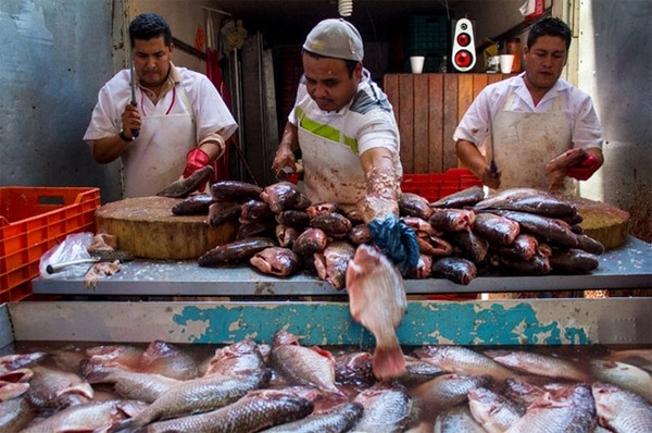 PIB en México creció 1.6% en el segundo trimestre: INEGI