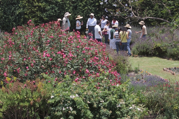 Jardín Etnobotánico de Cholula: un libro abierto a los sentidos
