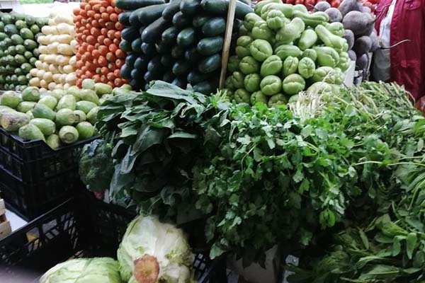 Dieta balanceada y ejercicio, necesarios para prevenir coronavirus: especialista