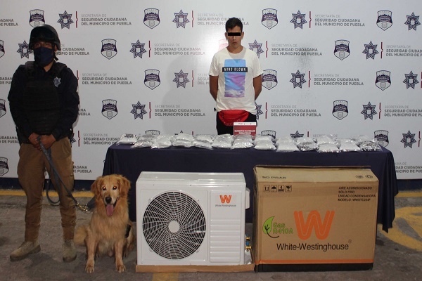 Policía Canina detuvo a hombre con cinco kilos de marihuana en la CAPU