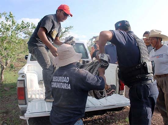 Niño muere por ataque de abejas africanizadas en Oaxaca; hay tres heridos