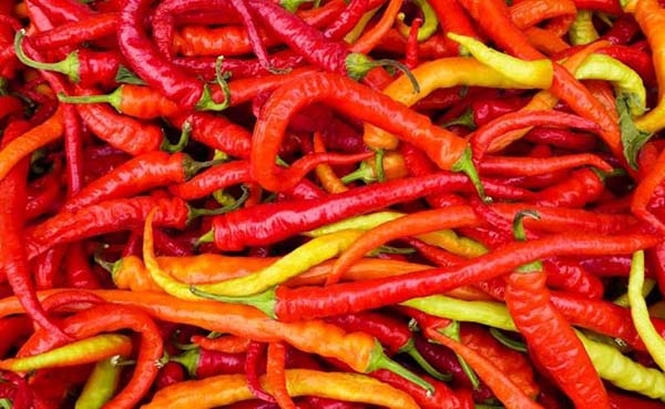 Este es el chile más picante del mundo