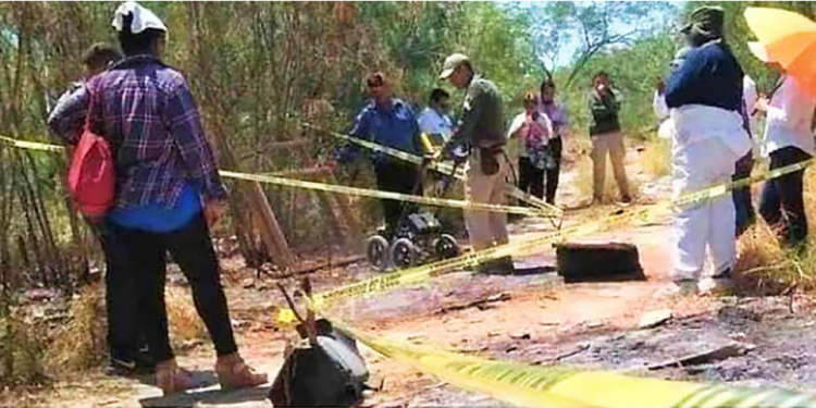 Hallan credencial de poblano en fosa clandestina de Veracruz