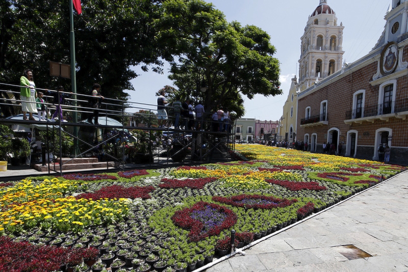 Visita el tapete monumental de flores del mágico Atlixco