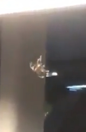 VIDEO: Metro de México reporta que no hay indicios de la “araña gigante”