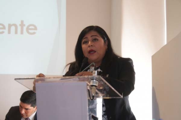 Diputada de Morena propone “eliminar” perros y gatos callejeros