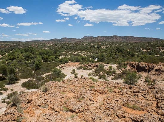 Mexicano sobrevive 13 días en el desierto de Arizona