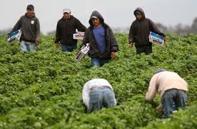 Migrantes de Puebla: ¿Cómo tramitar beneficios sociales ante EU?