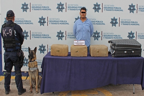 Detienen a sujeto con paquetes de marihuana en la CAPU