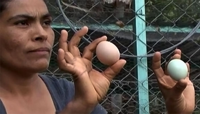 Huevos verdes sorprenden a vecinos de Chiautla de Tapia, Puebla