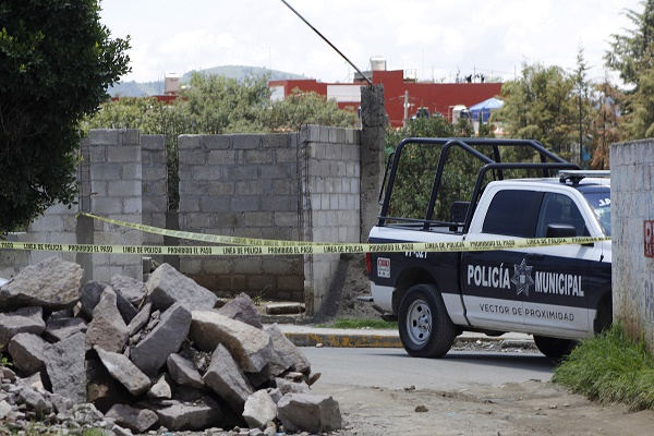 Hallan restos humanos devorados por perros en la colonia Miguel Hidalgo