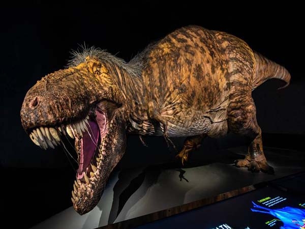 Así era el Tyrannosaurus Rex, el gran depredador