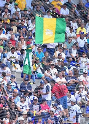 Pericos de Puebla: Inicia venta de boletos para final de la Zona Sur ante Yucatán