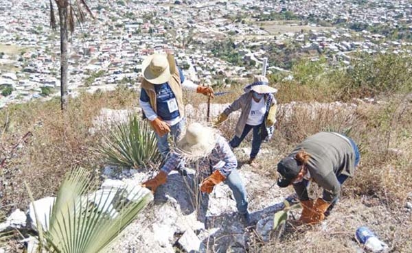 Así buscan a sus desaparecidos en Guerrero