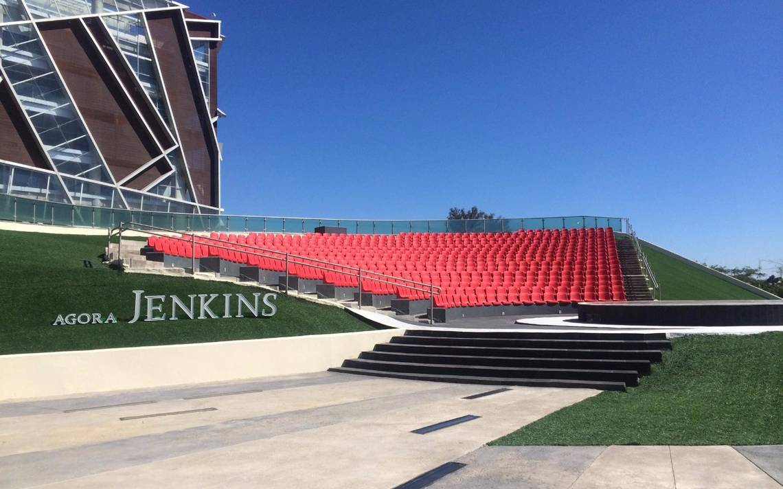 En conflicto de Fundación Jenkins no está involucrado el gobierno: Céspedes
