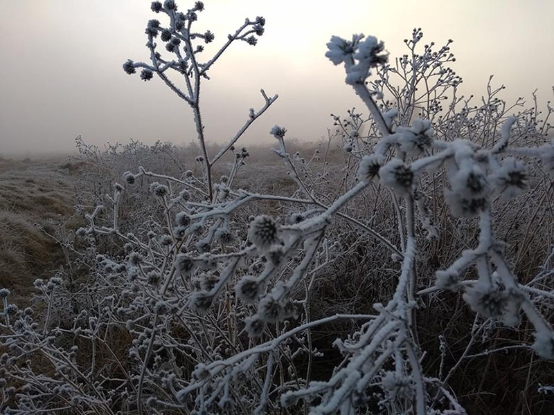 FOTOS: Hermosos paisajes invernales de Tlaxcala