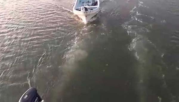 “Piratas” asaltan barco de turistas en Tabasco